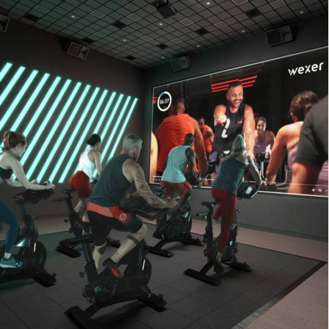 480X480-TRIBAL FITNESS - Wexer Live und auf Anfrage-Landing Page Produktbilder 480X480-TRIBAL FITNESS - Wexer Live und auf Anfrage-Landing Page Produktbilder