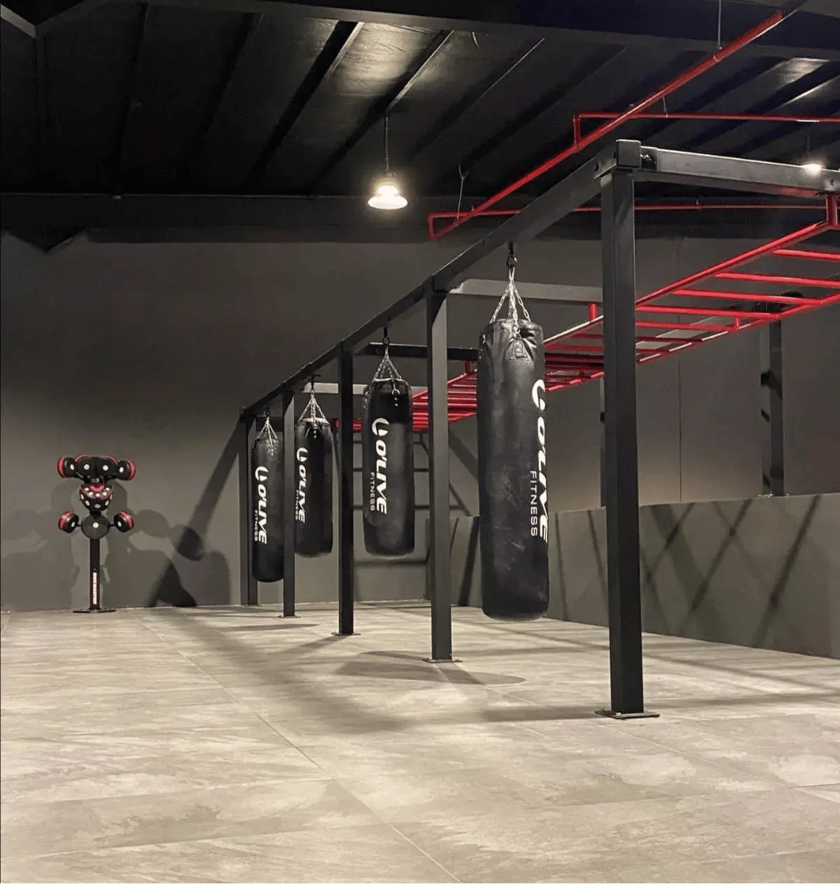 1-Impact-Sports-Abdulsaud-Sports-Centre-KSA-StairMaster-BoxMaster