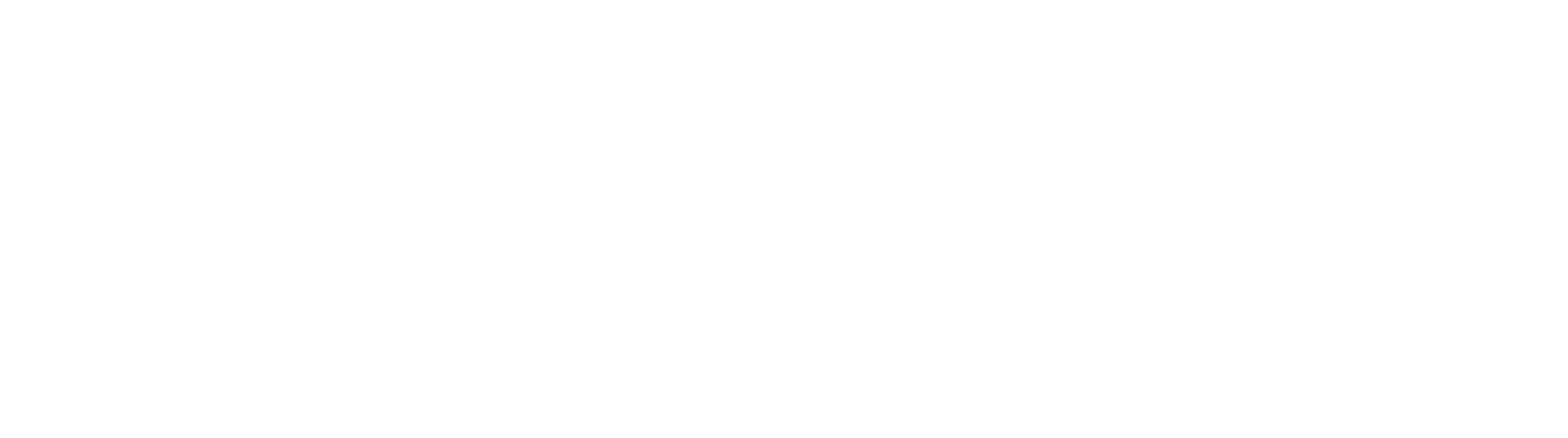 2026_Wexer White Logo