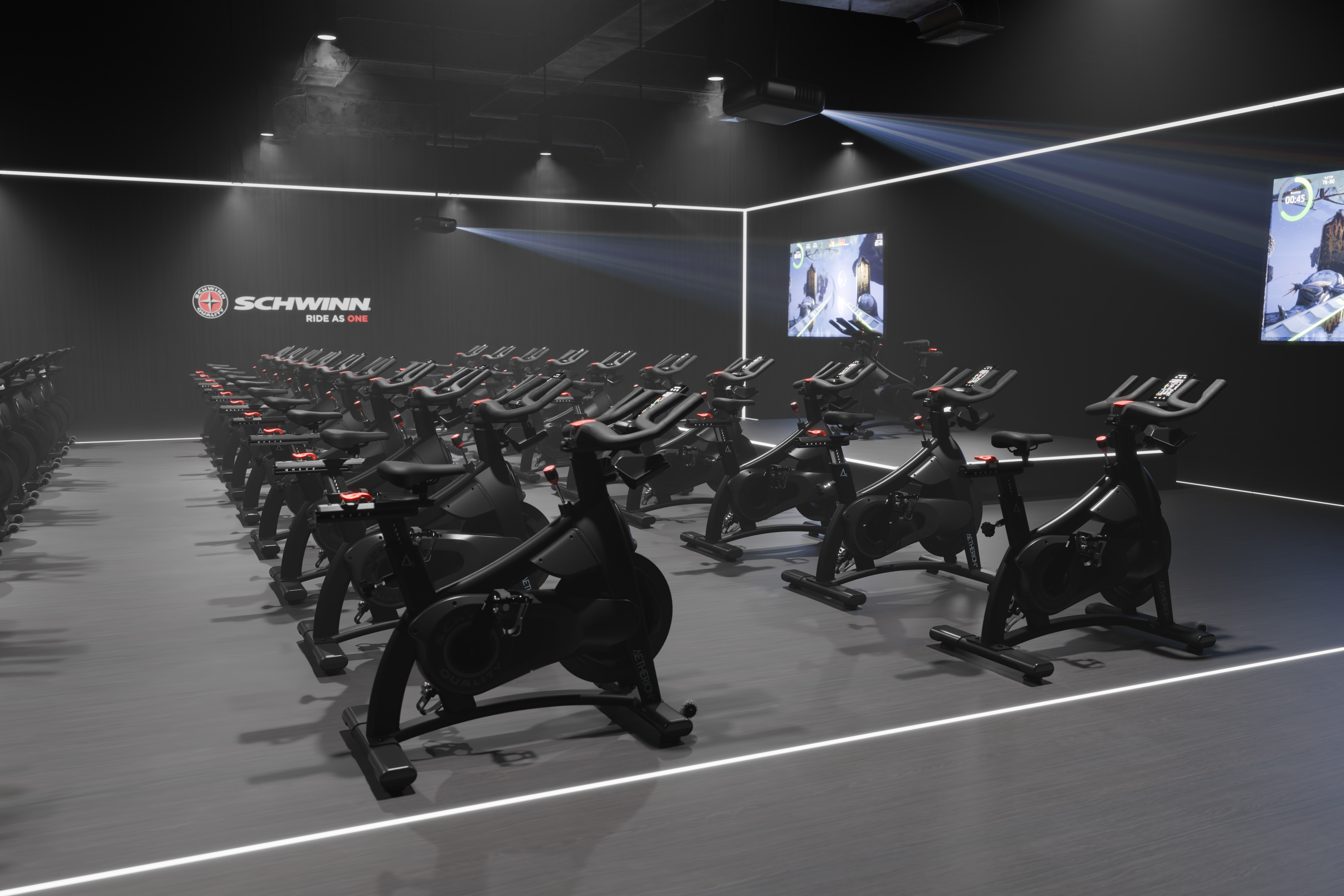 Aetherion+ S 9-7602 Schwinn Lifestyle 04