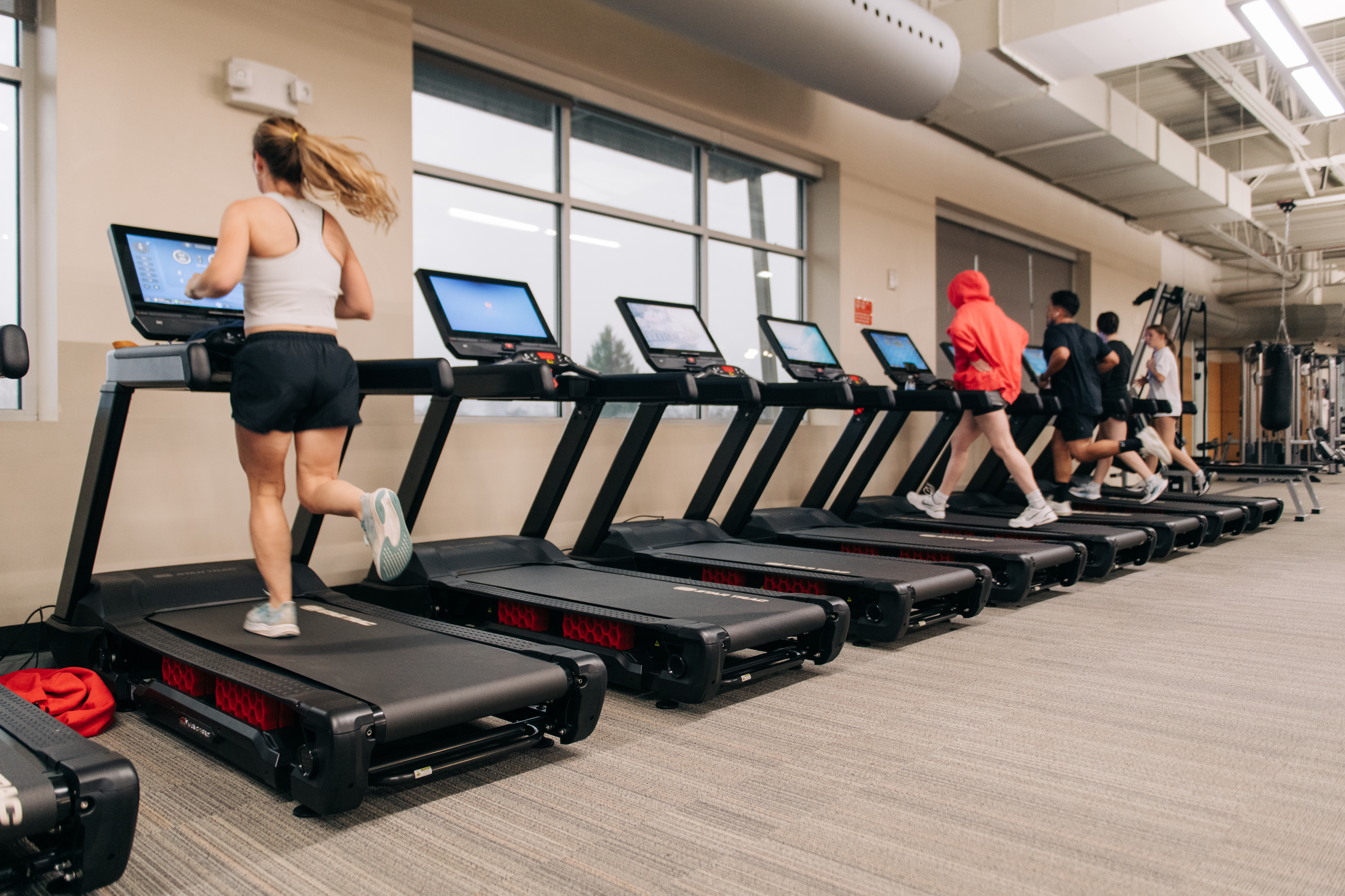 Different Types of Gym Equipment & What Facilities Actually Need