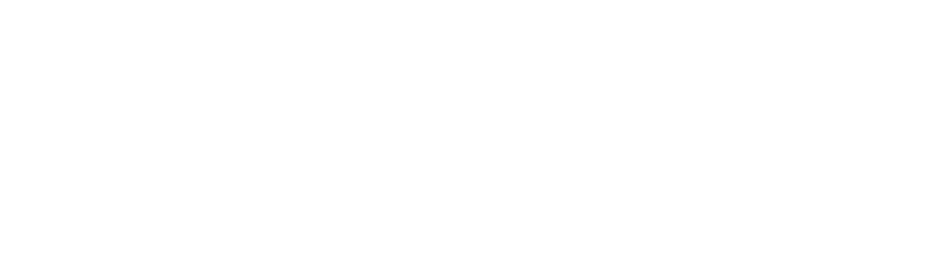 StairMaster White Logo