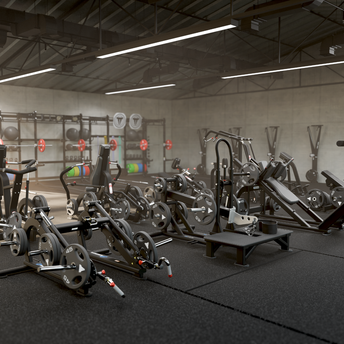 From Function to Performance: How Strength Training Trends Are Shaping the Future of Fitness